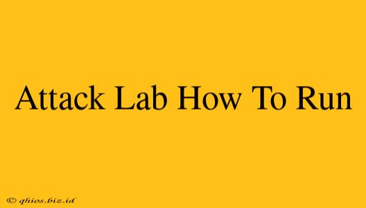 Attack Lab How To Run