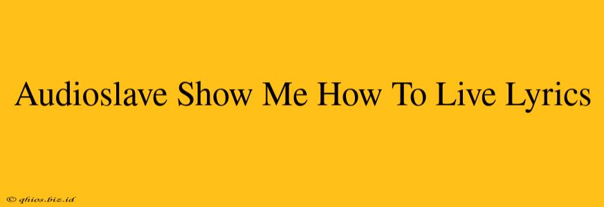 Audioslave Show Me How To Live Lyrics