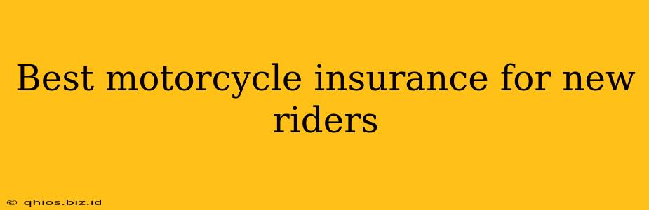 Best motorcycle insurance for new riders