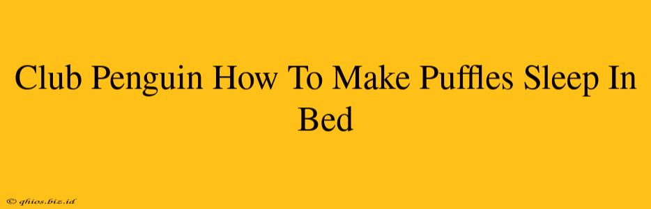 Club Penguin How To Make Puffles Sleep In Bed