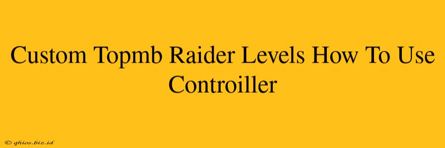 Custom Topmb Raider Levels How To Use Controiller