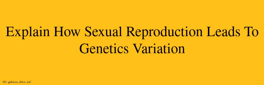 Explain How Sexual Reproduction Leads To Genetics Variation