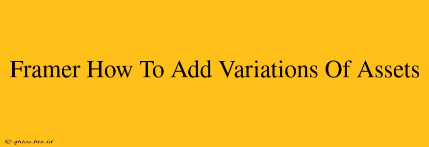 Framer How To Add Variations Of Assets