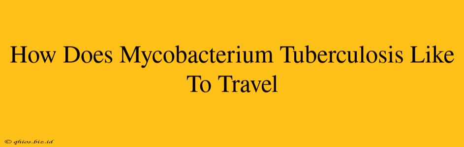 How Does Mycobacterium Tuberculosis Like To Travel