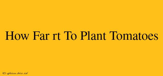 How Far rt To Plant Tomatoes