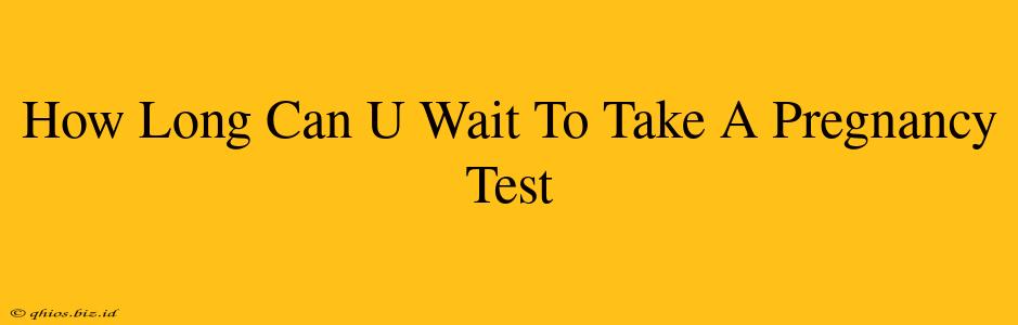 How Long Can U Wait To Take A Pregnancy Test