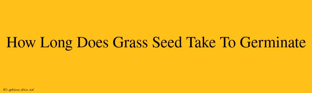 How Long Does Grass Seed Take To Germinate