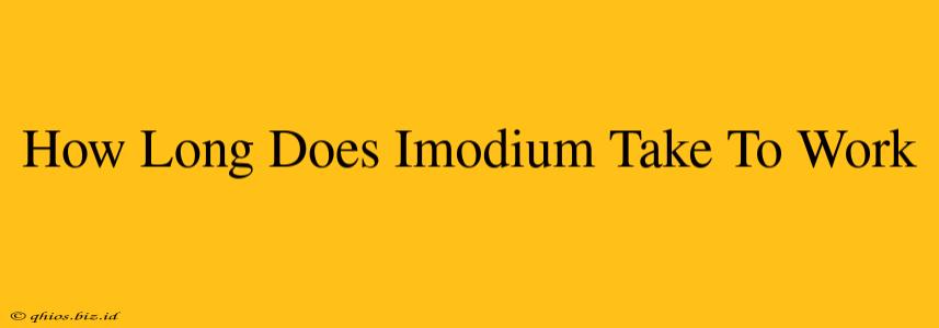 How Long Does Imodium Take To Work