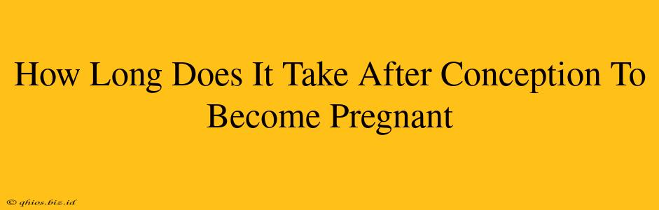 How Long Does It Take After Conception To Become Pregnant