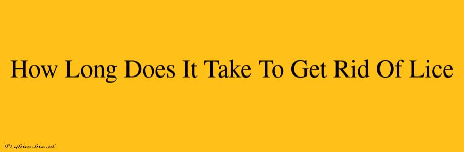How Long Does It Take To Get Rid Of Lice