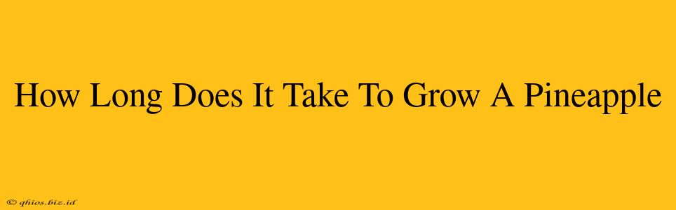 How Long Does It Take To Grow A Pineapple