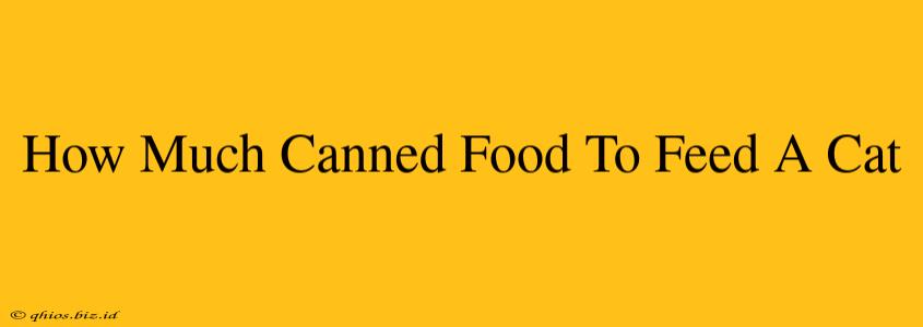 How Much Canned Food To Feed A Cat