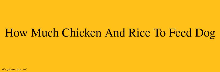 How Much Chicken And Rice To Feed Dog