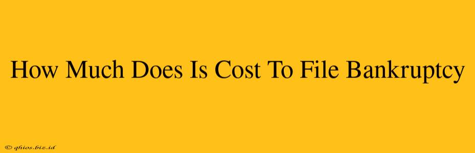 How Much Does Is Cost To File Bankruptcy
