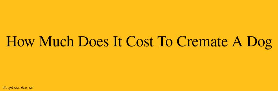 How Much Does It Cost To Cremate A Dog