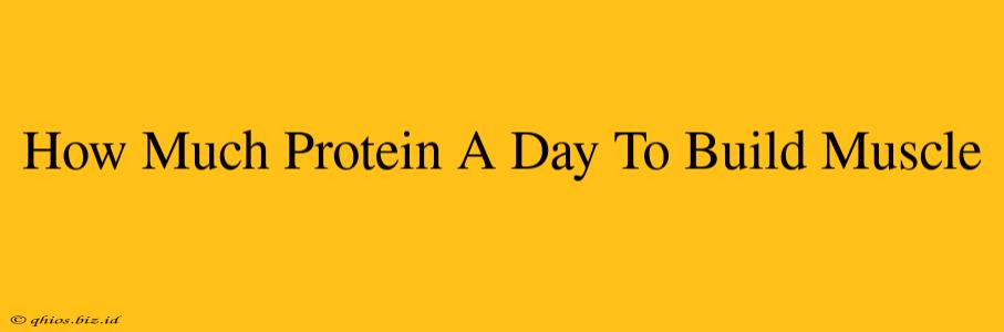 How Much Protein A Day To Build Muscle