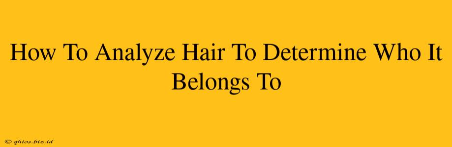 How To Analyze Hair To Determine Who It Belongs To