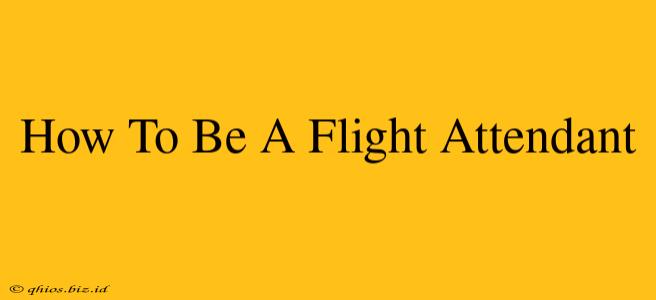 How To Be A Flight Attendant
