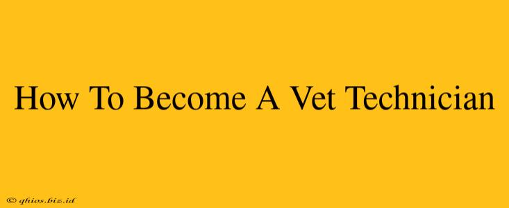 How To Become A Vet Technician