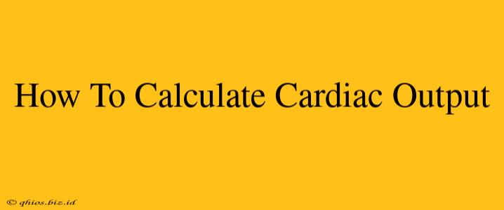 How To Calculate Cardiac Output