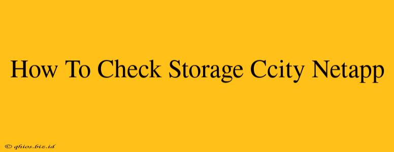 How To Check Storage Ccity Netapp