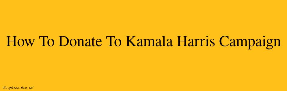 How To Donate To Kamala Harris Campaign