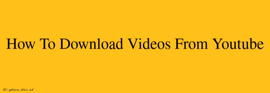 How To Download Videos From Youtube