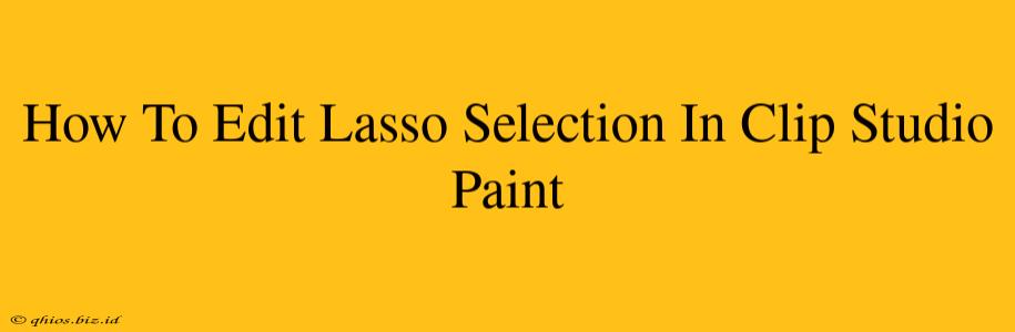 How To Edit Lasso Selection In Clip Studio Paint