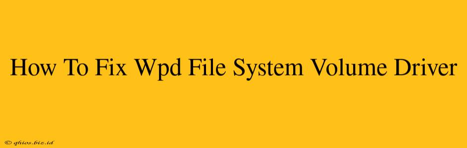 How To Fix Wpd File System Volume Driver
