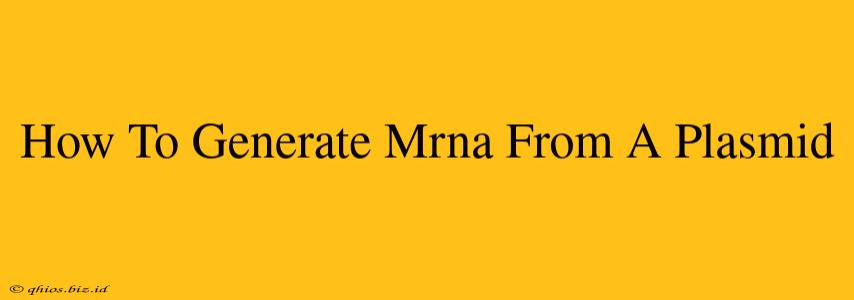How To Generate Mrna From A Plasmid