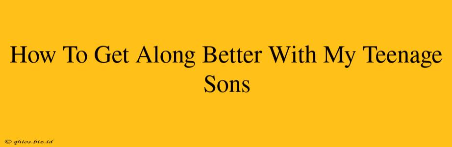 How To Get Along Better With My Teenage Sons
