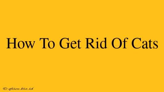 How To Get Rid Of Cats