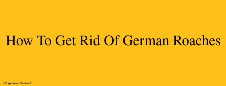 How To Get Rid Of German Roaches