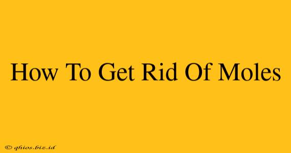 How To Get Rid Of Moles