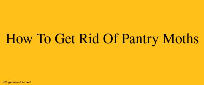 How To Get Rid Of Pantry Moths