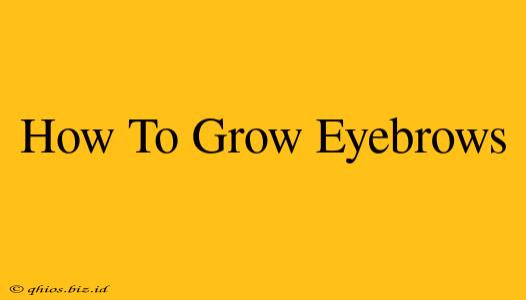 How To Grow Eyebrows