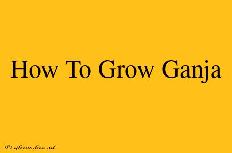 How To Grow Ganja