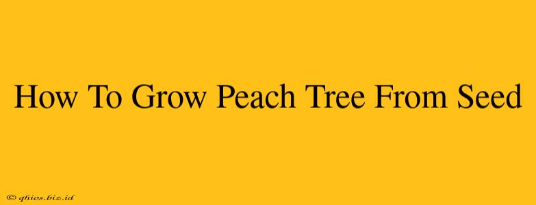 How To Grow Peach Tree From Seed