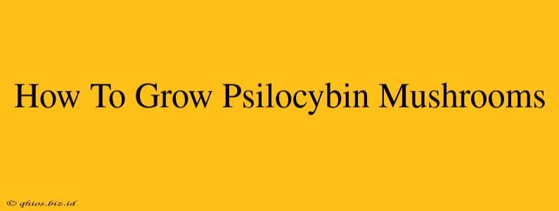How To Grow Psilocybin Mushrooms