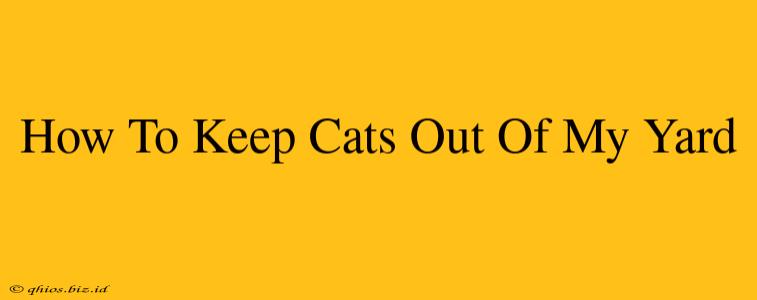 How To Keep Cats Out Of My Yard