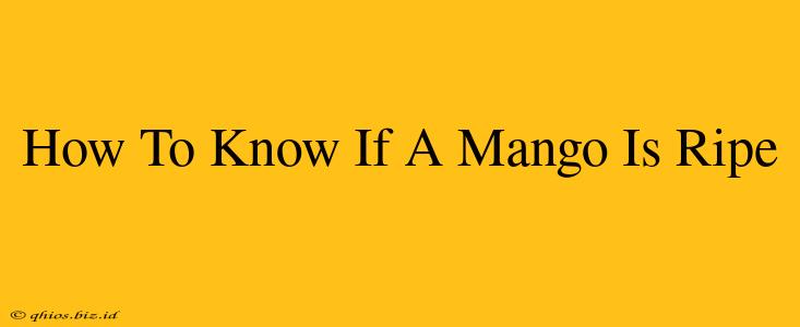 How To Know If A Mango Is Ripe