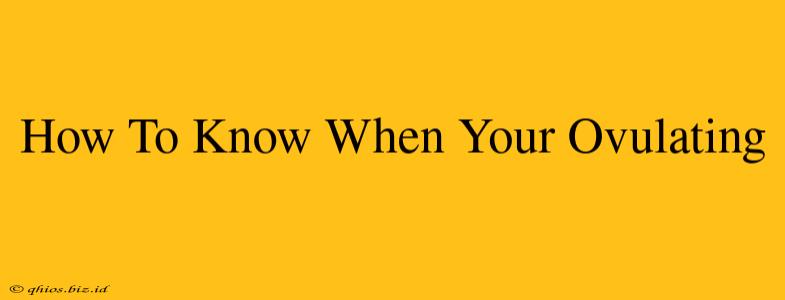 How To Know When Your Ovulating