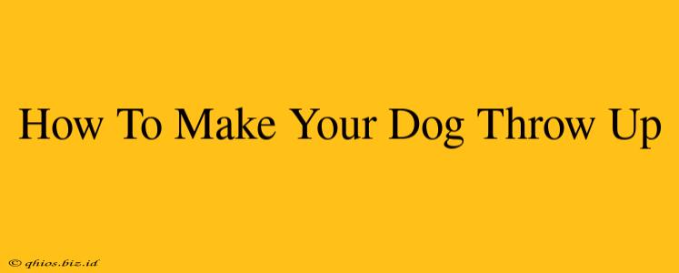 How To Make Your Dog Throw Up
