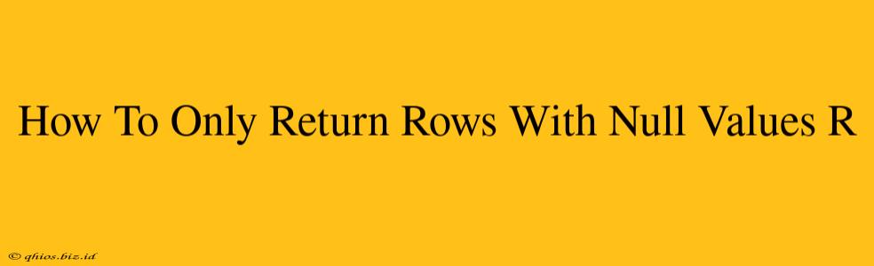 How To Only Return Rows With Null Values R