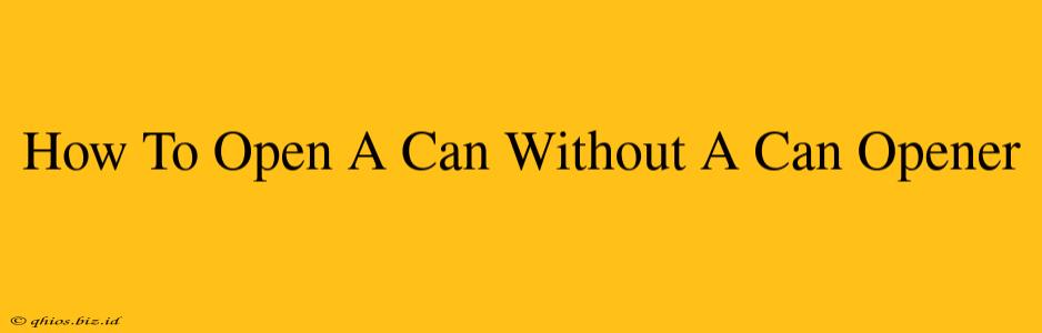 How To Open A Can Without A Can Opener