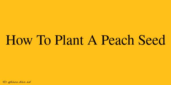How To Plant A Peach Seed