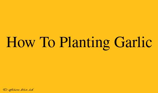 How To Planting Garlic