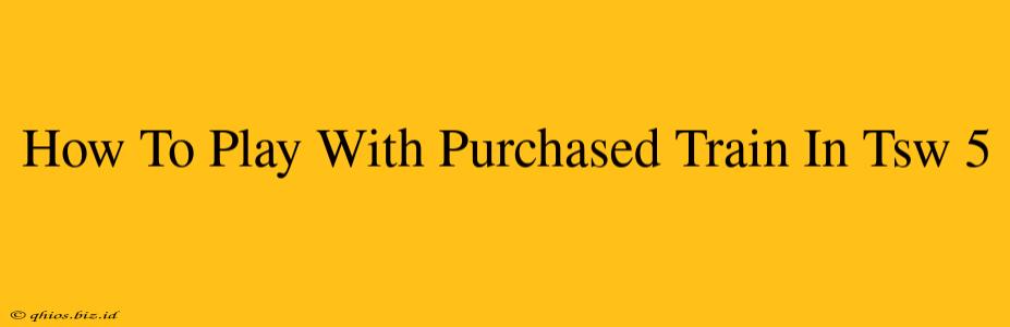 How To Play With Purchased Train In Tsw 5