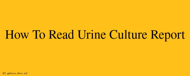 How To Read Urine Culture Report