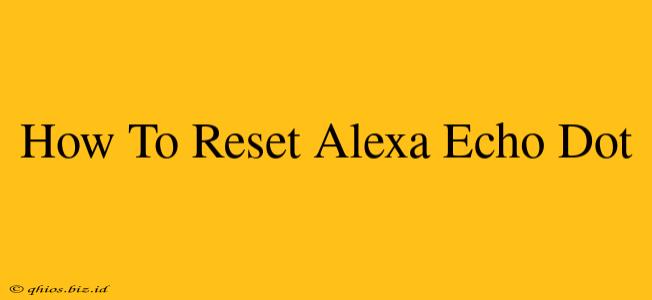 How To Reset Alexa Echo Dot